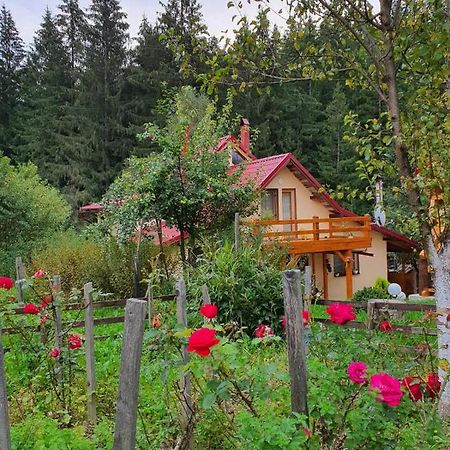 Forest Vibes Spa Cimpu lui Neag Bagian luar foto