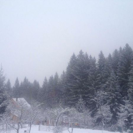 Forest Vibes Spa Cimpu lui Neag Bagian luar foto