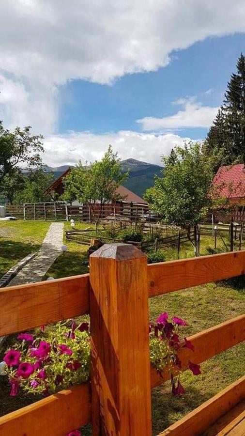 Forest Vibes Spa Cimpu lui Neag Bagian luar foto