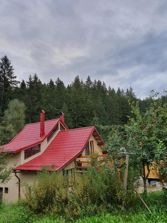 Forest Vibes Spa Cimpu lui Neag Bagian luar foto