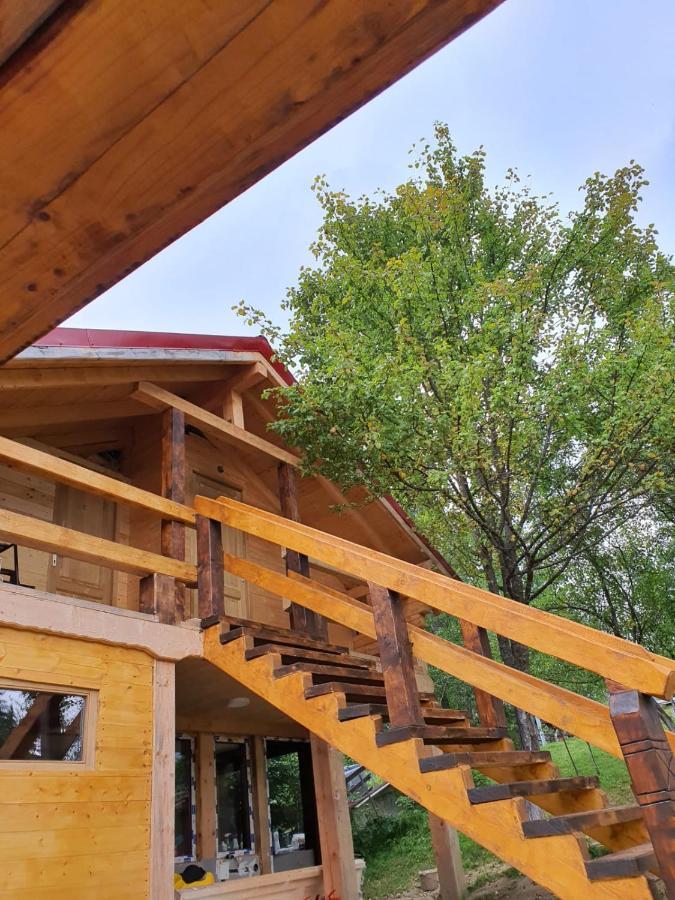 Forest Vibes Spa Cimpu lui Neag Bagian luar foto
