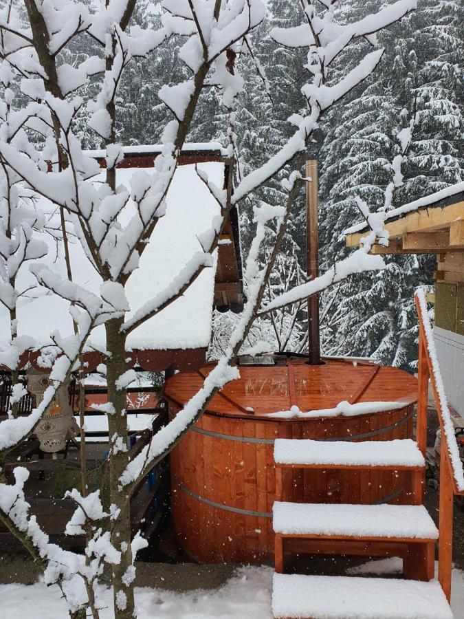 Forest Vibes Spa Cimpu lui Neag Bagian luar foto