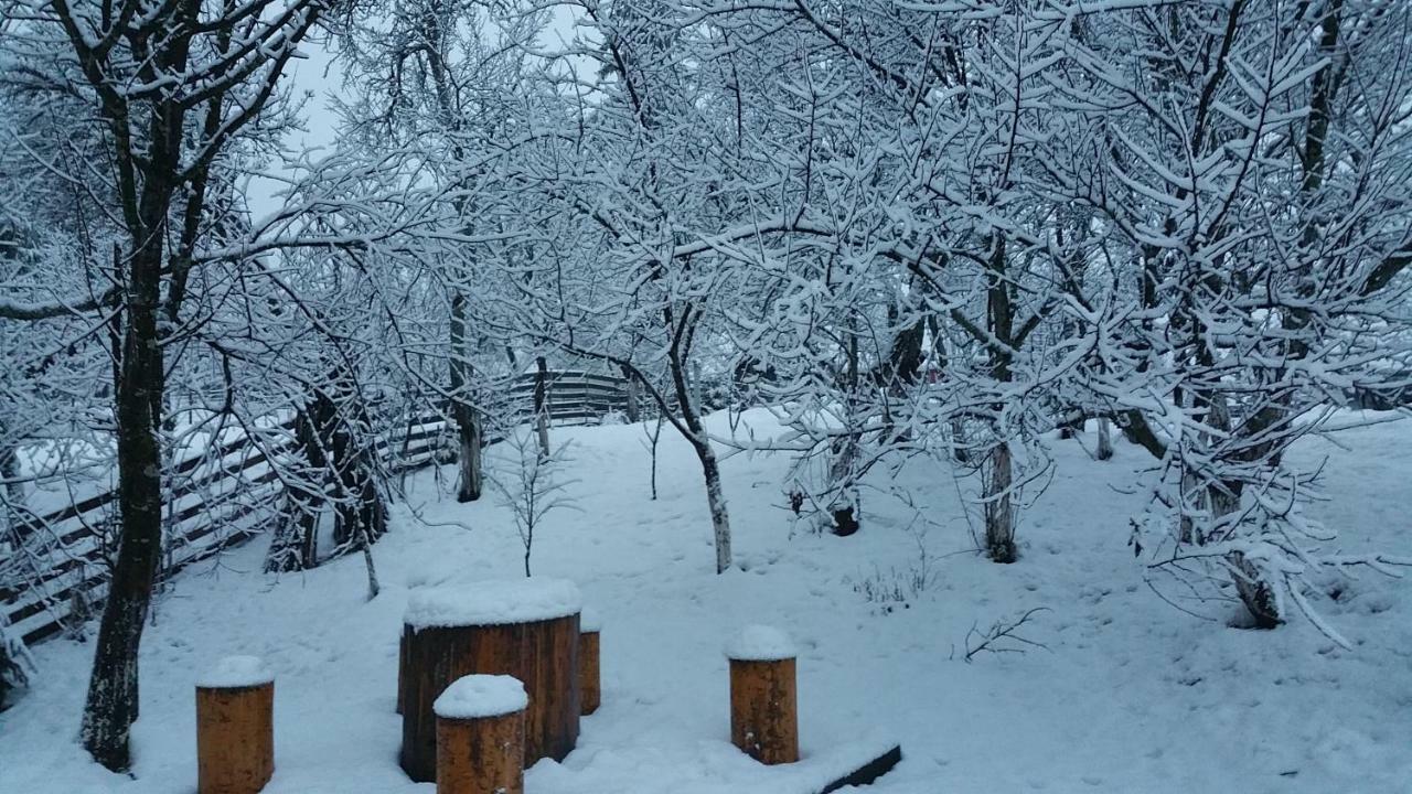Forest Vibes Spa Cimpu lui Neag Bagian luar foto