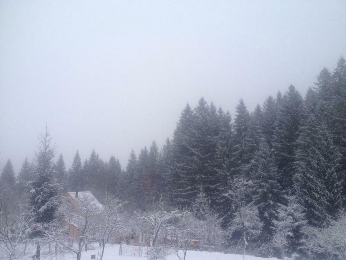 Forest Vibes Spa Cimpu lui Neag Bagian luar foto