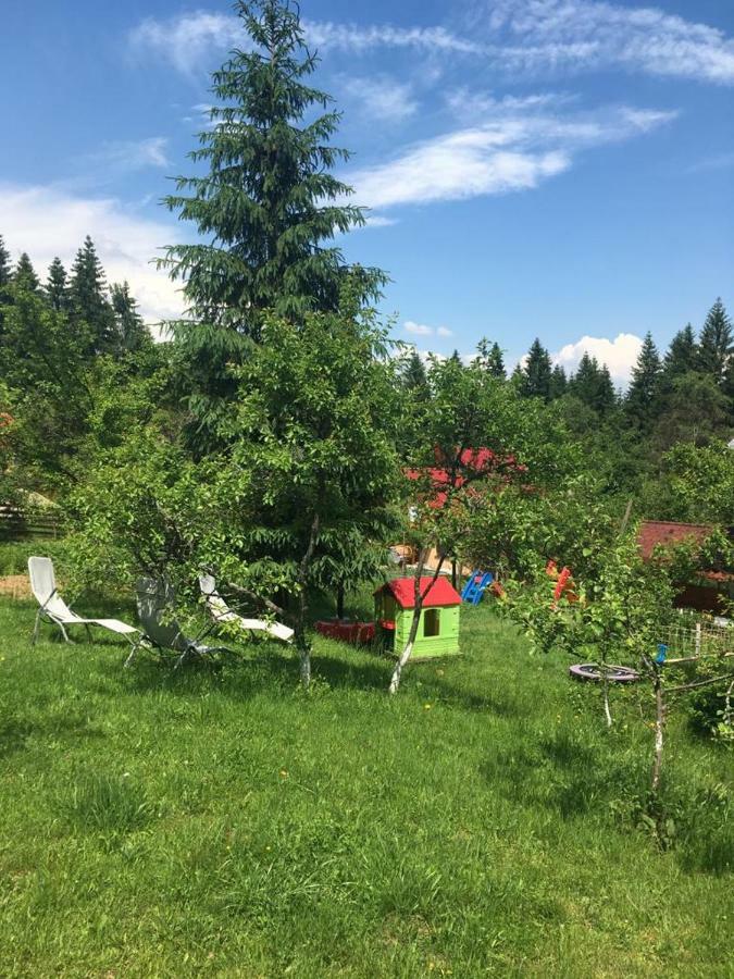 Forest Vibes Spa Cimpu lui Neag Bagian luar foto