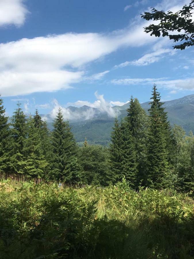 Forest Vibes Spa Cimpu lui Neag Bagian luar foto