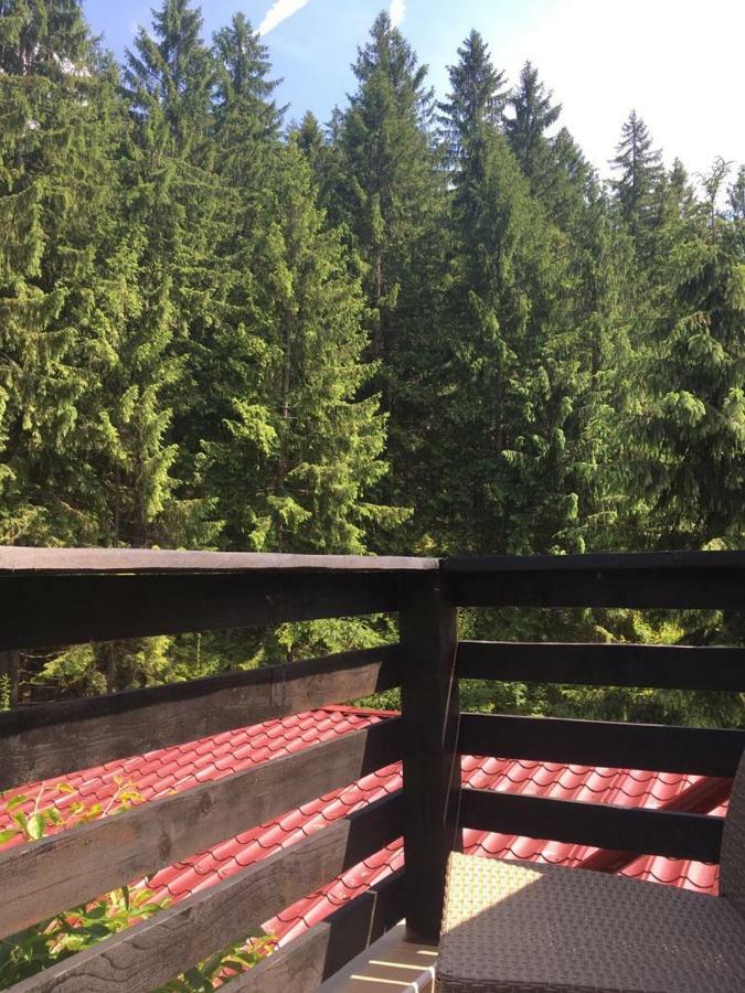 Forest Vibes Spa Cimpu lui Neag Bagian luar foto