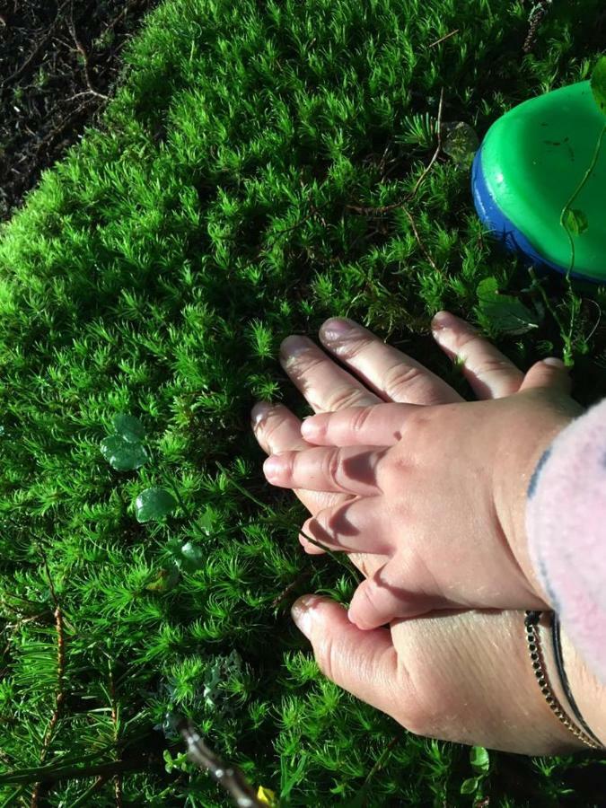 Forest Vibes Spa Cimpu lui Neag Bagian luar foto